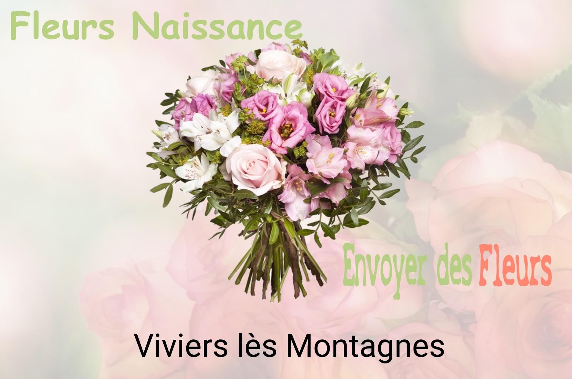 Bouquet de fleurs de naissance livré à Viviers-lès-Montagnes